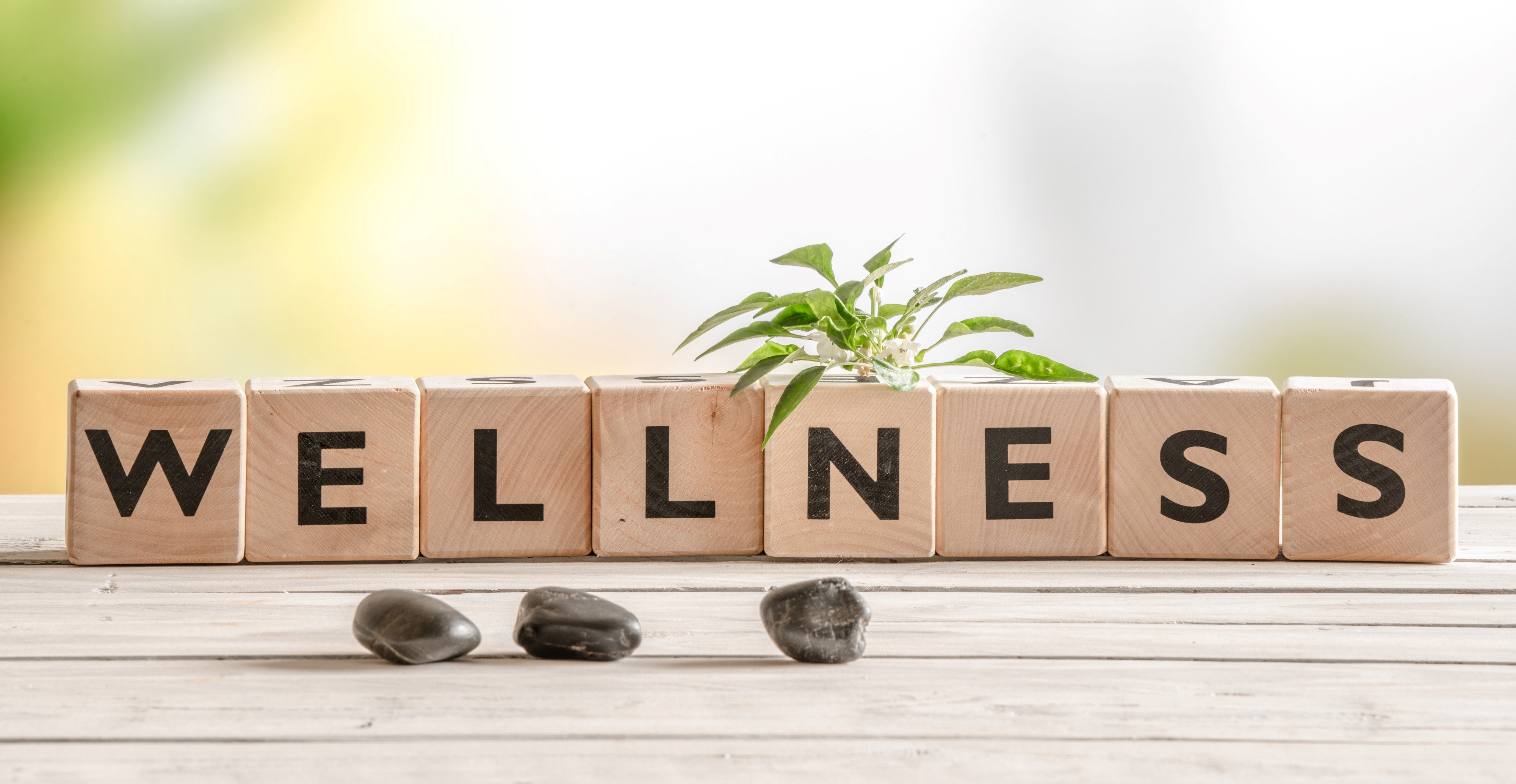 Wellness & Health