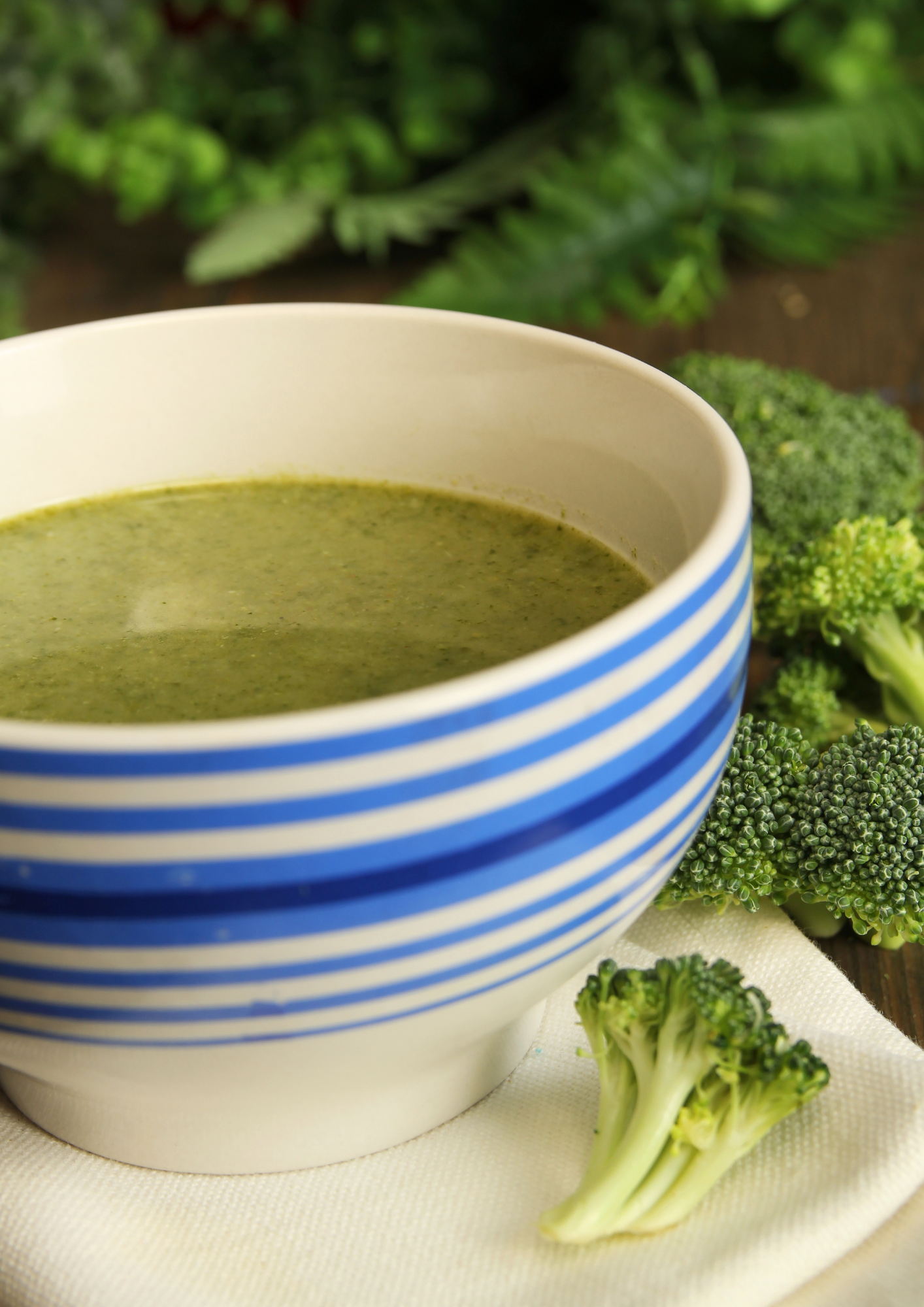 Creamy Collagen Broccoli Soup
